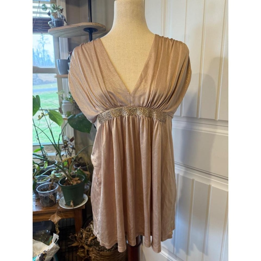 Express Shimmer Beaded Empire Waist‎ V Neck Short Sleeve Women's Tunic Medium